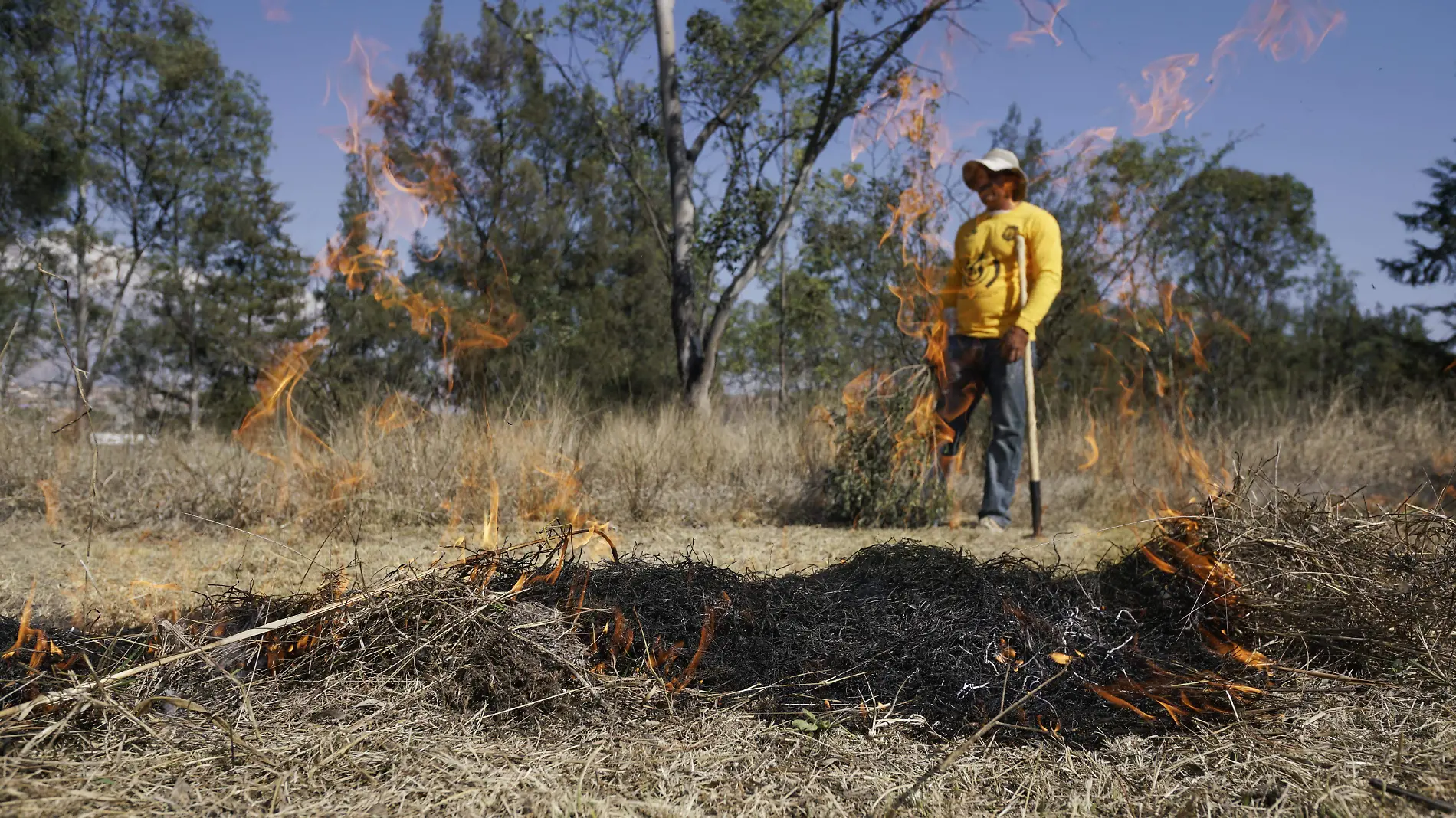 INCENDIOS_AJO (7)